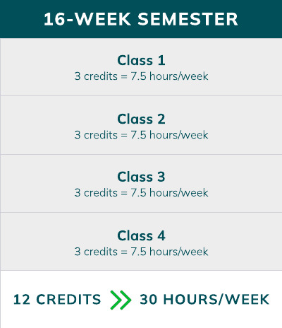 If you are taking 12 credits during a traditional 16-week semester, you can expect to spend approximately 30 hours on coursework each week during an 8-week period.