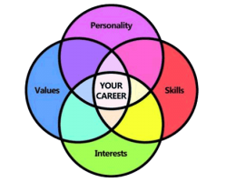 Your Career Knot - Personality, skills, interests, Values - Your Career
