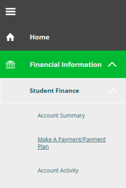 Payment plan screenshot from Self-Service Toolkit