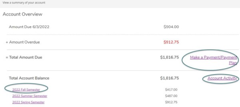 Student Account Summary