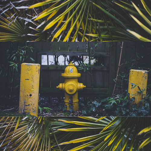 Synchronicity by Andrew Mason