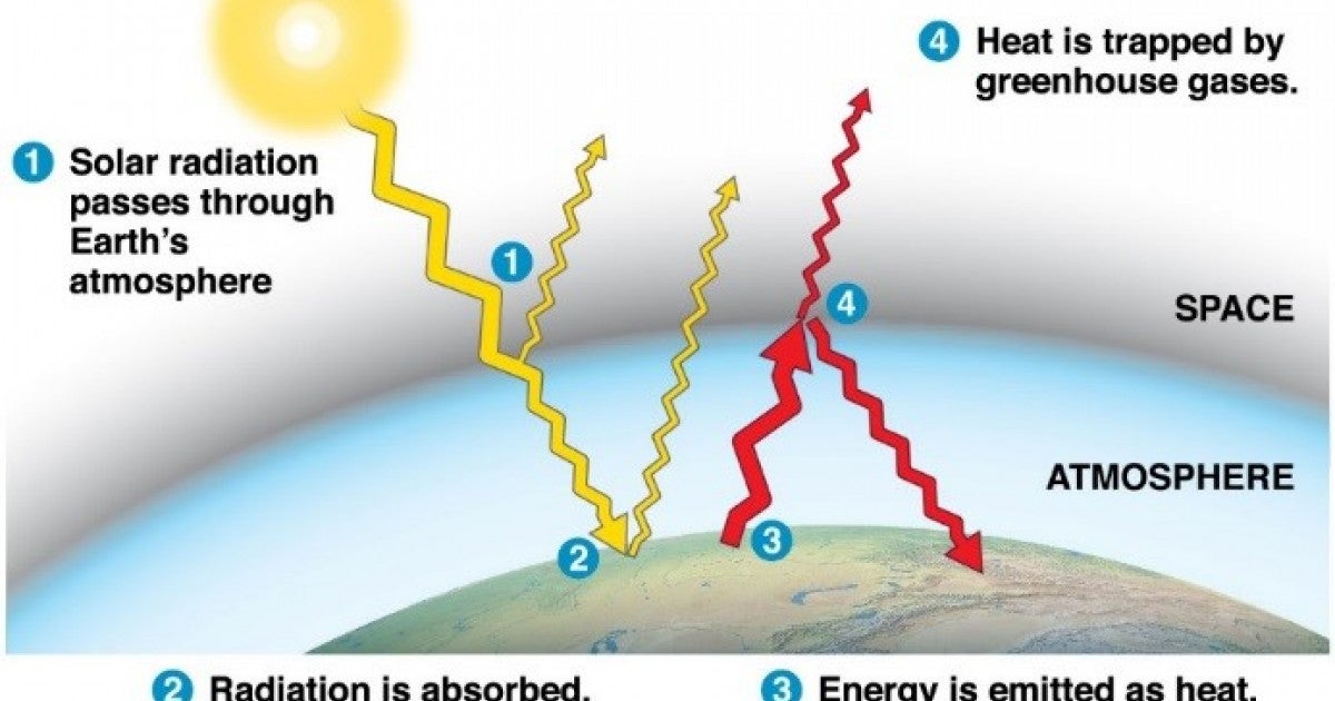 What’s The Big Deal About Climate Change? | CWI