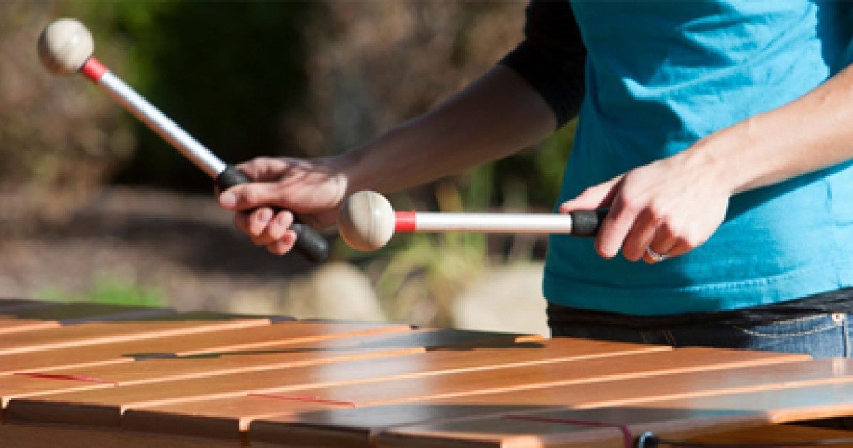 Visiting Artist Series Marimba Boise CWI