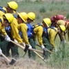 Group of Wildland Fire Academy students in field digging a fire line.