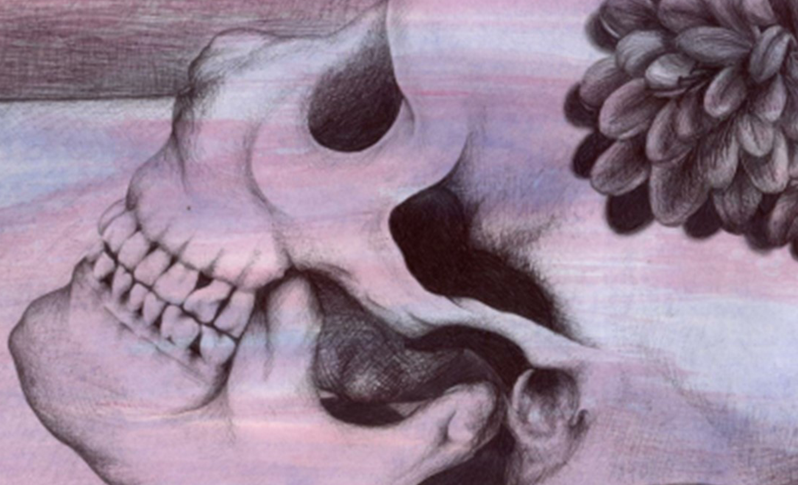 Arielle Johnson’s untitled still-life drawing featuring a skull - winner of the 2019 Juried Art Show
