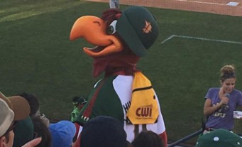Hawks mascot in stands with field in background