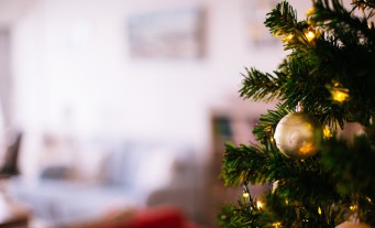 Christmas tree with ornament