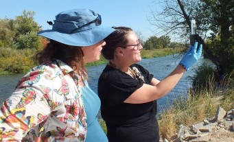Watershed Watch participants testing water quality