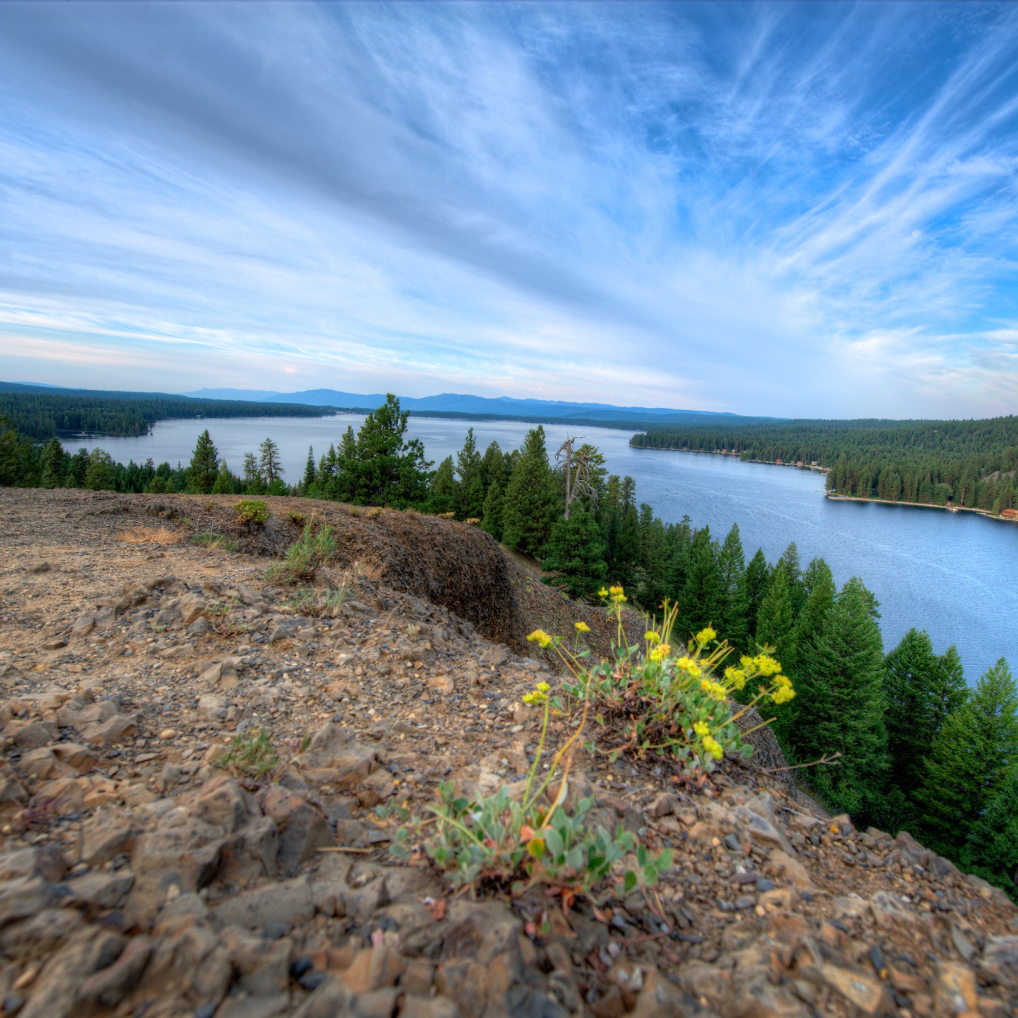 Landscape of trees,river and sky