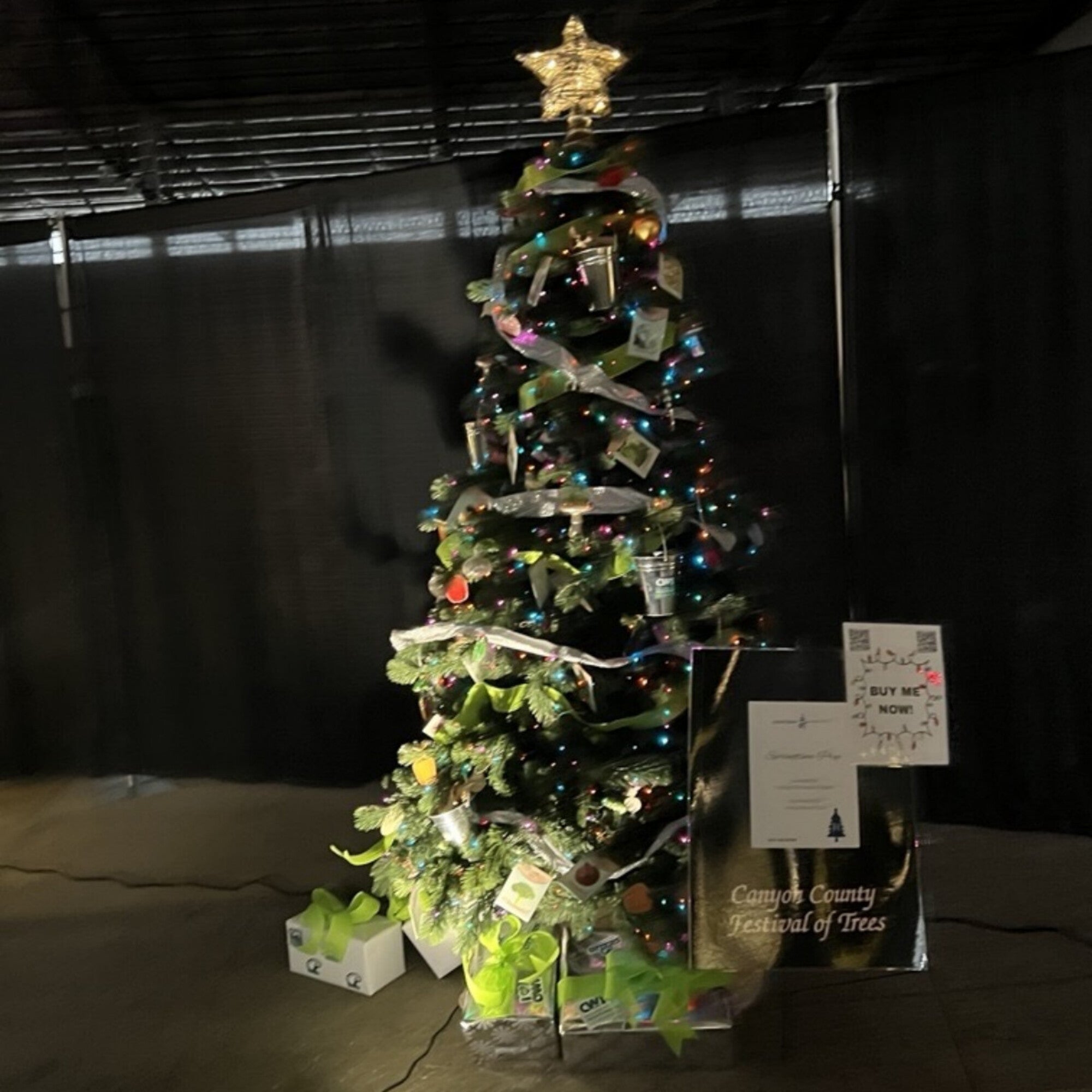 Canyon County Festival of Trees