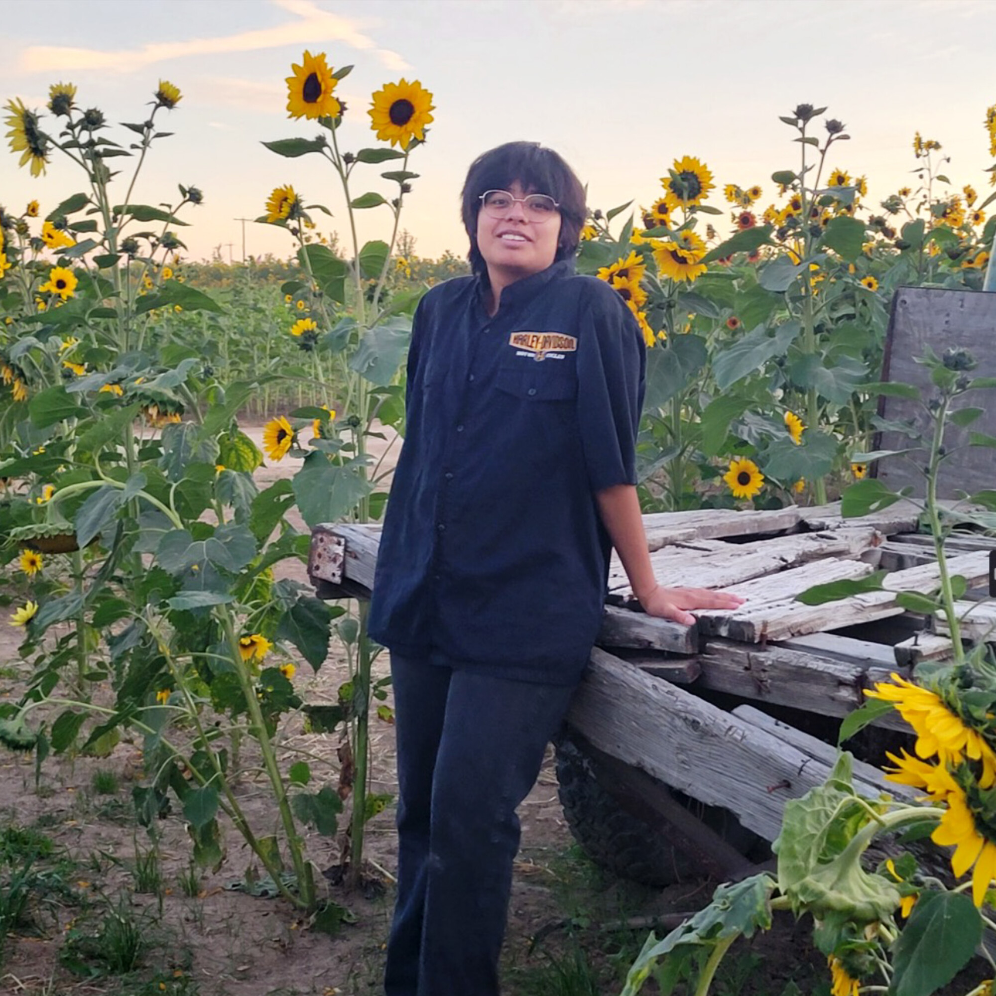 A student stands by an old wagon in a field of sunflowers.