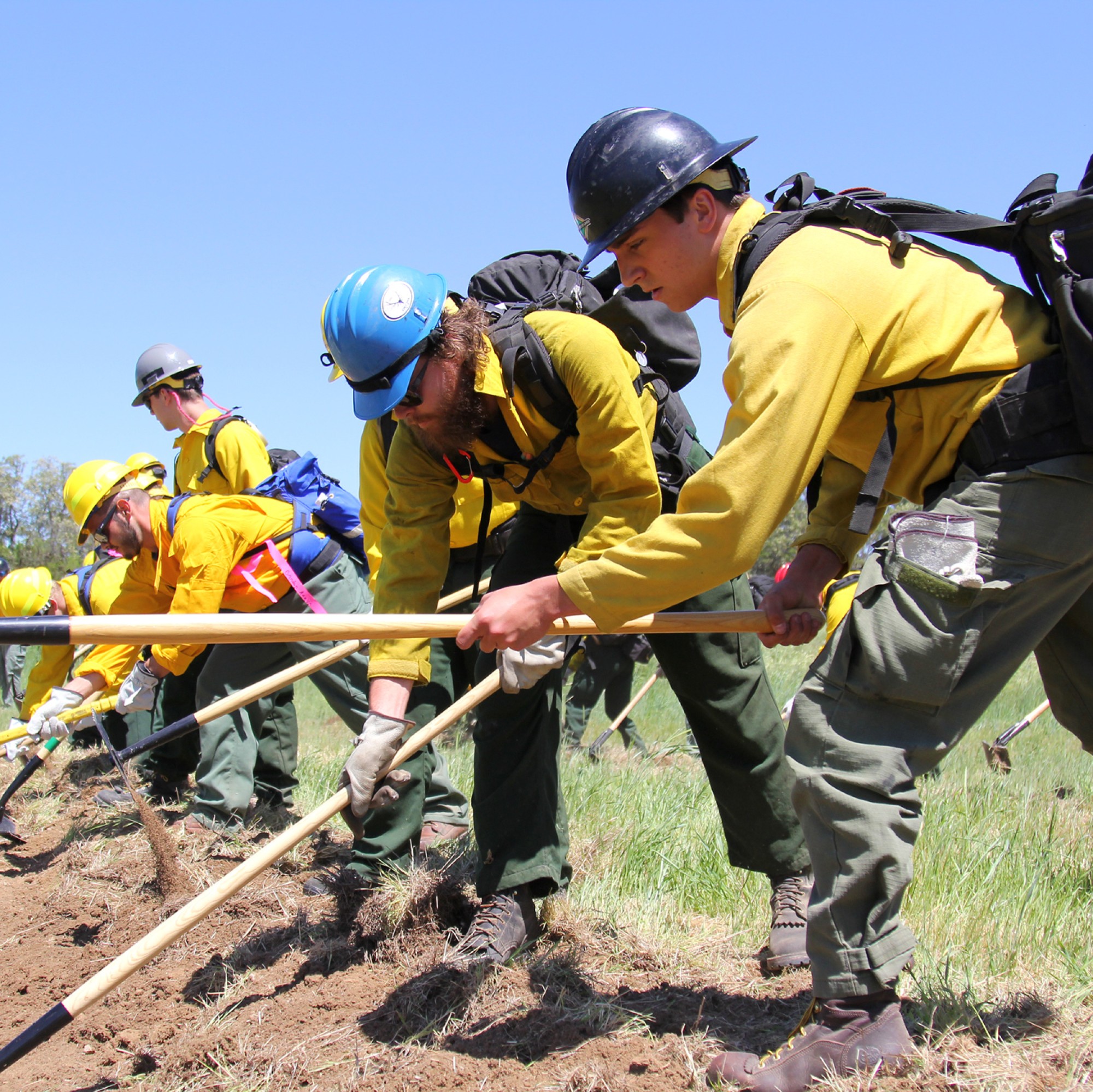 Wildland firefighting students working together