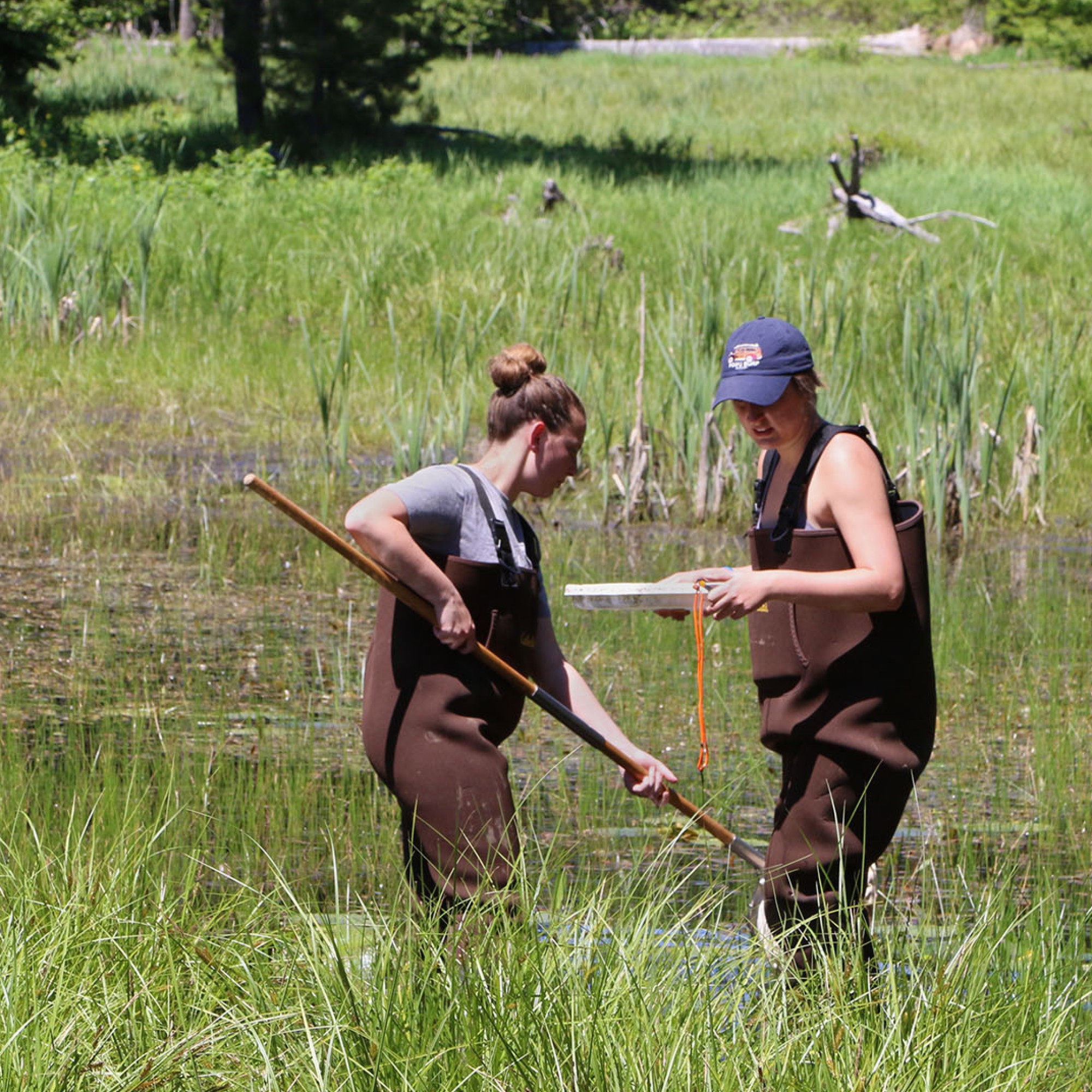 Two students in waders collect environmental samples from a pond in a forest.