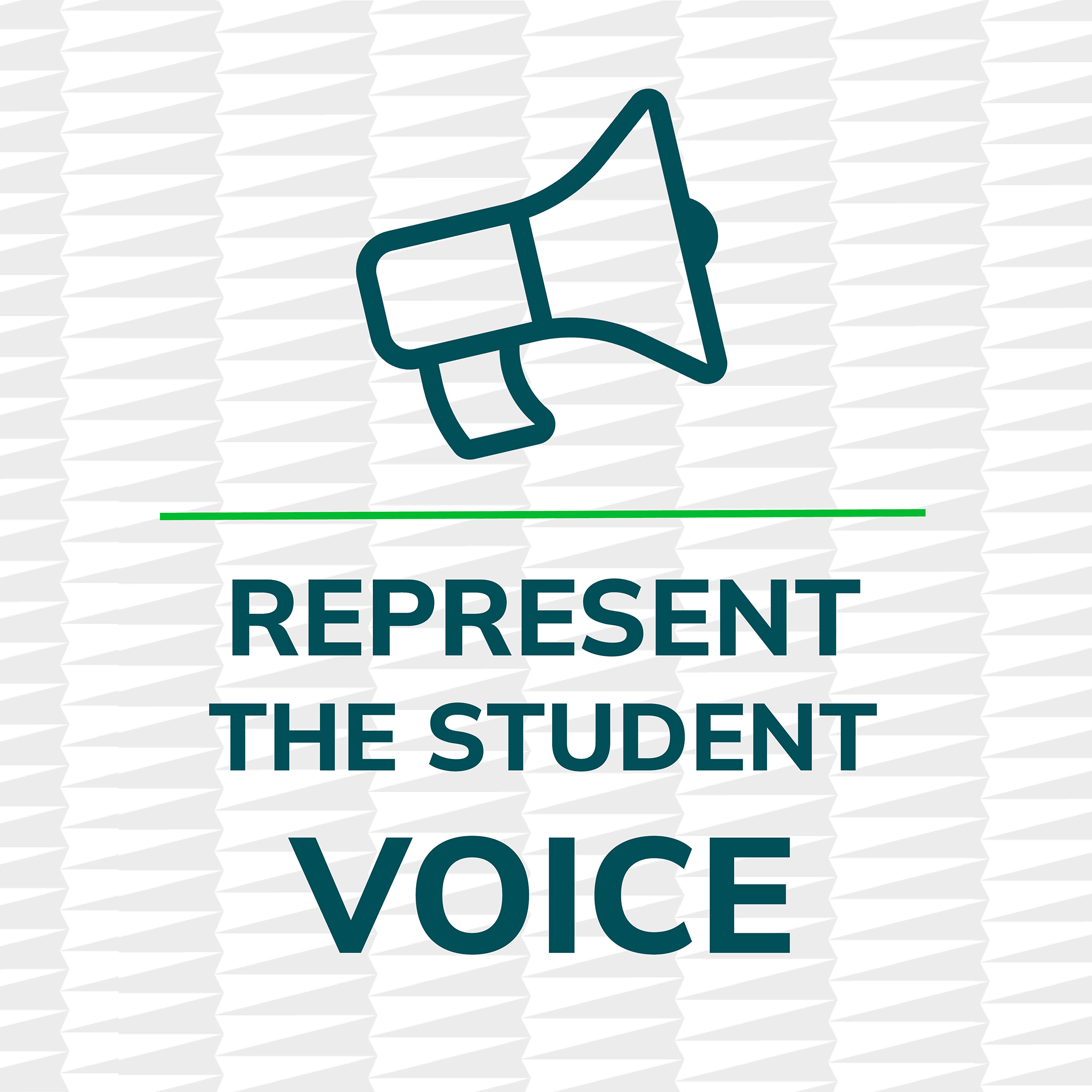The words "Represent the Student Voice" accompany a megaphone icon in a graphic.