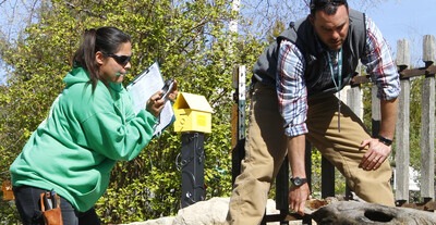 Horticulture students studying plant life