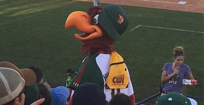 Hawks mascot in stands with field in background