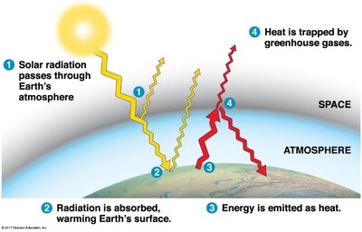 Figure 1 Effect of greenhouse gasses on global climate. Source: Campbell Biology (11th Ed.)