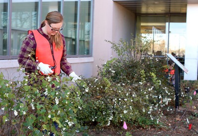 Horticulture students help to maintain the College’s Native Plant Garden.