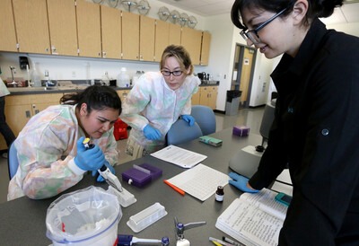 INBRE scholars work on a research project at the College of Western Idaho on May 24, 2018.