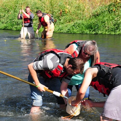 Students doing research together in a river