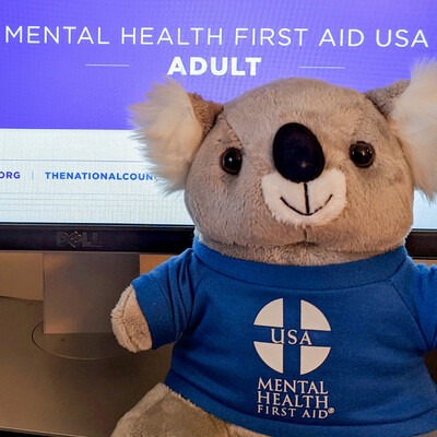 Stuffed koala by a computer screen with Mental Health First Aid training pulled up