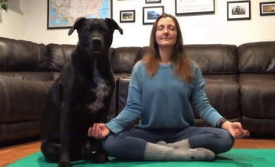 CWI employee next to their dog practicing yoga