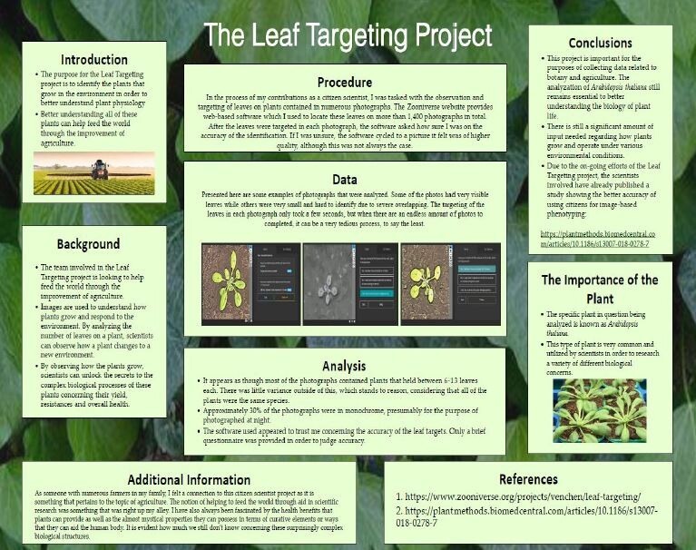 Leaf targeting project by CWI student Brad Gourdin.