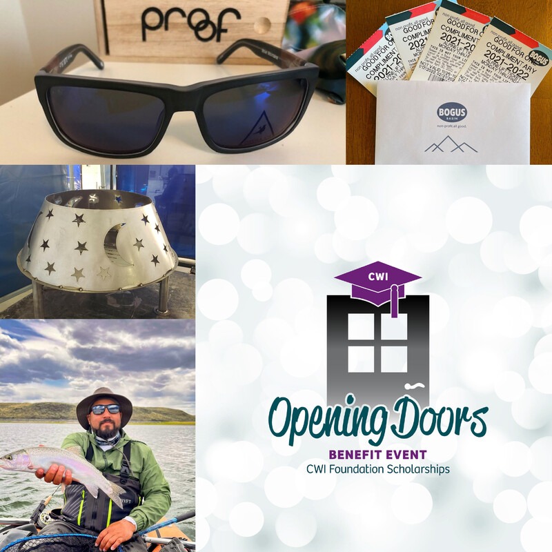 Pictures of auction items and Opening Doors logo