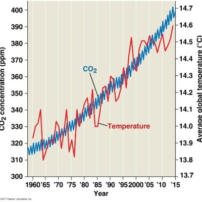 Figure 4 Average global carbon dioxide concentrations and temperatures (1955 – 2015). Source: Campbell Biology (11th Ed.)