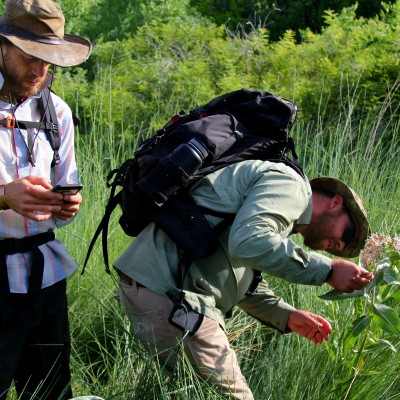 Dusty Perkins uploads real-time data into a national database while Vance McFarland examines milkweed for Monarch butterfly activity.