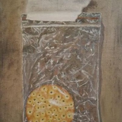 Shiny Cracker by Kathleen Brashier