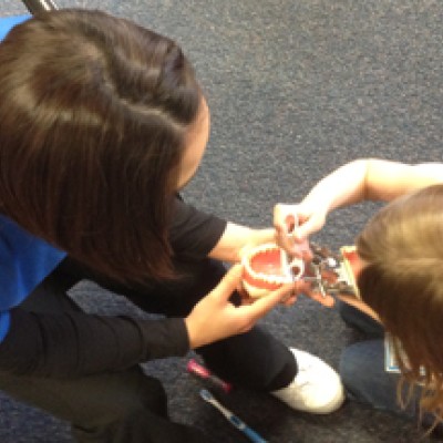 Dental Assisting Program student demonstrating oral health with little girl.