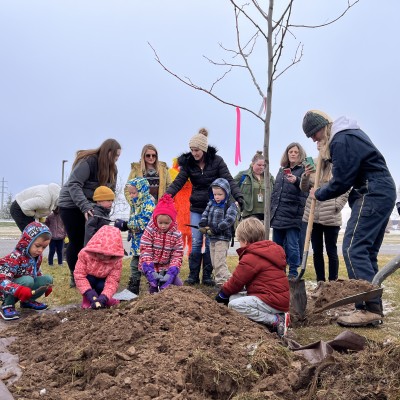 Preschool students helping plant the tree