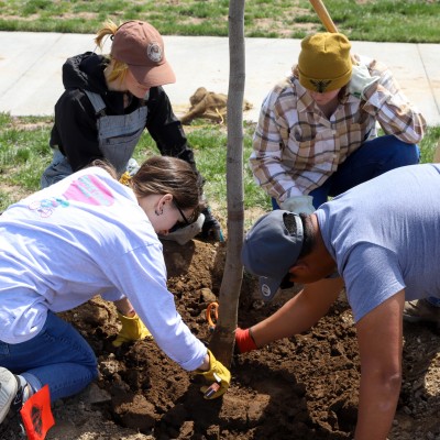 Students planting a tree at the park