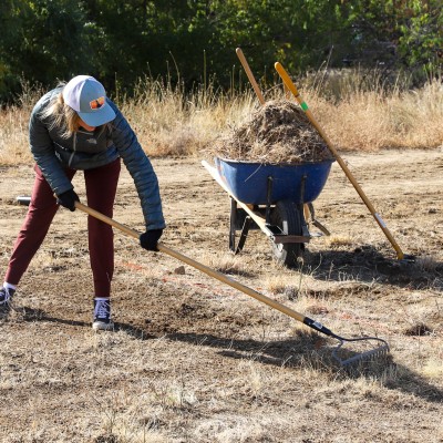 Student planting at Restoration Week - raking brush to piles