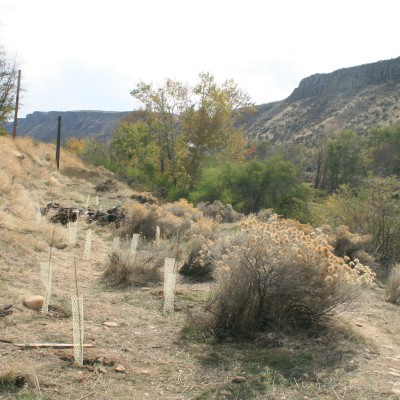 Plot of land near Boise River