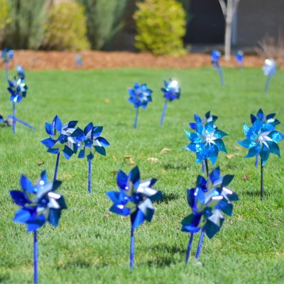Pinwheels in front of Canyon County Courthouse