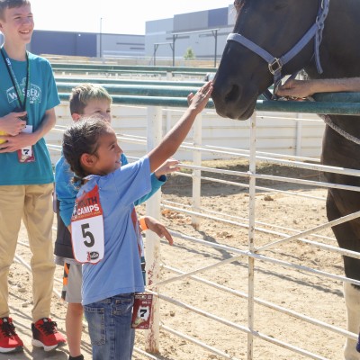 Student petting a horse