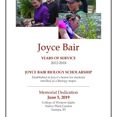 Family and friends gather to celebrate Joyce Bair at the Nampa Campus Academic Building.