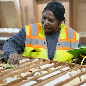 Student looks at drill core