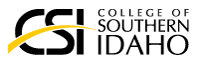CSI logo