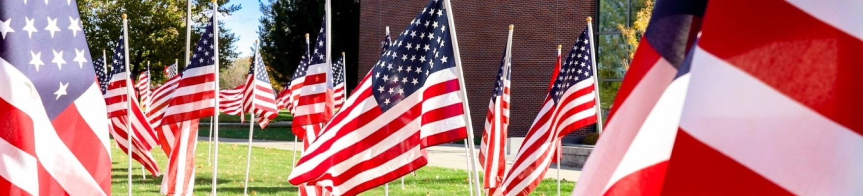 U.S. Flags 