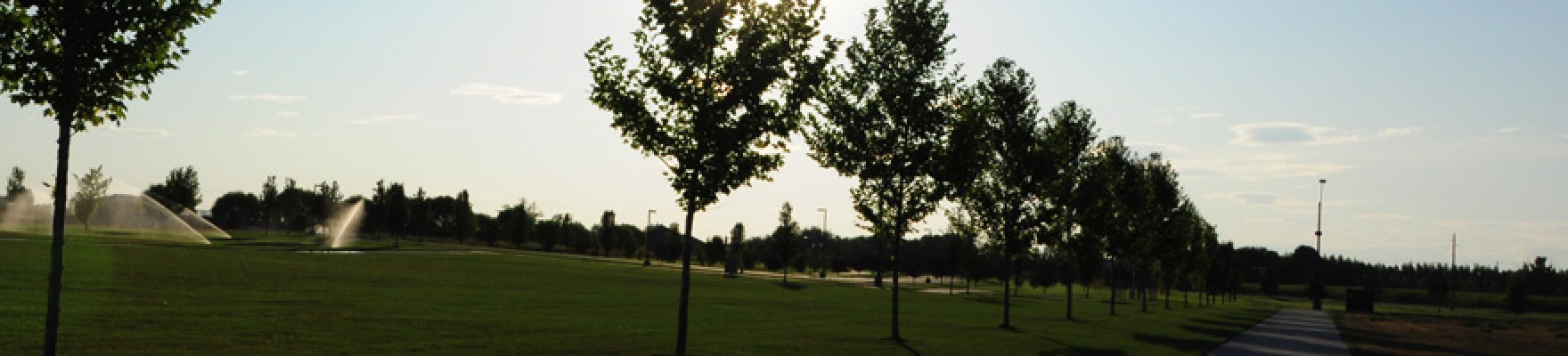 View of grassy field with row of trees.