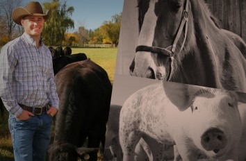 Collage of close up of a horse, a pig and a rancher with a horse and field in background.
