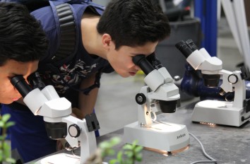Students using microscopes