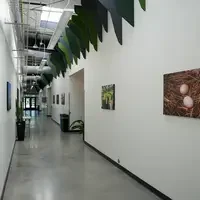 Photos hang on the walls