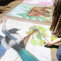 Chalk art of a bird
