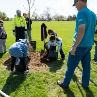 People digging a hole