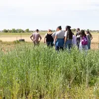Students touring a farm field