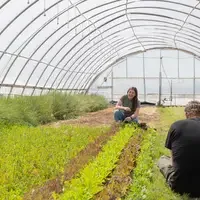 Students sitting in greenhouse grass